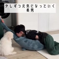 元気を取り戻して…