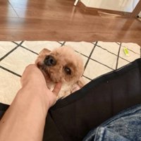 撫でられるイオくん