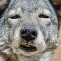 エルちゃんの全体像