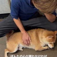 ぽんた君の変化9
