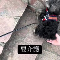 再び介助が必要に…