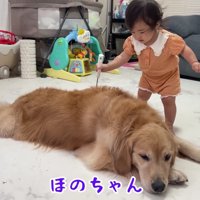 おからちゃんの体にまで！