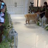 「あなたもありがとう！！」