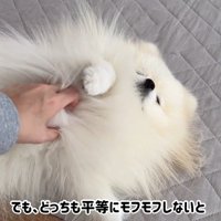 甘えん坊で可愛い