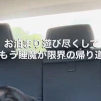 ふと後部座席を見てみると…？