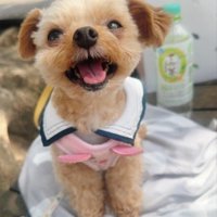 まるで天使のよう…！