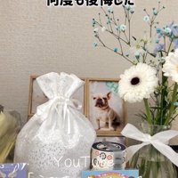 お兄ちゃん犬の遺影と骨壺