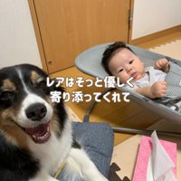 赤ちゃんと犬