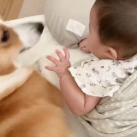 たとえ振り払われても…