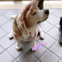 ウットリ…