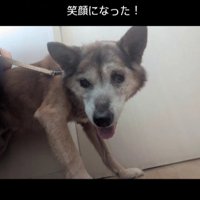 笑顔を見せてくれるように！！