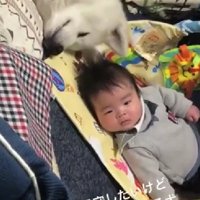 眠気に勝てない