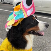 見守り活動にも参加