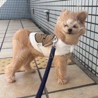 なんだか楽しそう♪