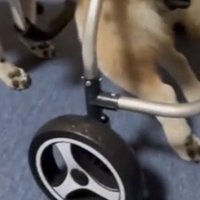 浮いた足元