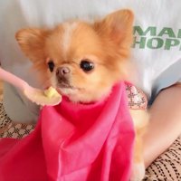 食事は投稿主さんのサポート付き