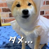 ちょっぴり不満そう？