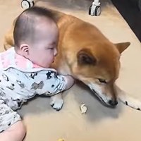 ロック君に抱きつく赤ちゃん