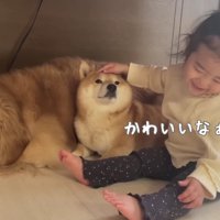 「かわいい～」