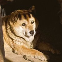 前髪が生えた！？
