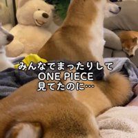 みんなでまったり…♪