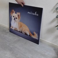 フォトパネルを飾った時のみるくちゃん4