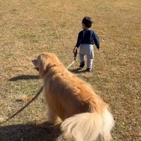 現在のオレオくんと弟くん