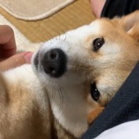 幸せそう♪