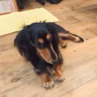 まずは