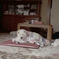 暗くすると、漂う哀愁…