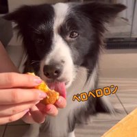 とろーりチーズが美味しい♪