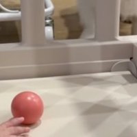 ボールで遊んでみよう！