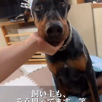 甘えん坊モード♡