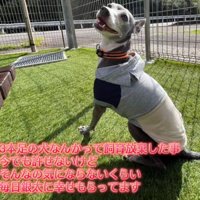 人間と猫も大好きだよ