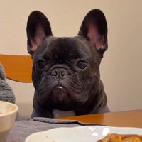 切ない顔のぼんくん