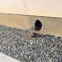 トリックアートみたい！？