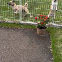 外で遊んでいた幸太郎くんと3