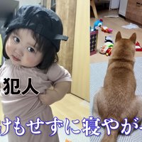 部屋がグチャグチャ…