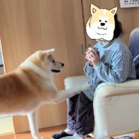 お母さんにおねだり