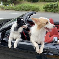 ドライブ