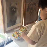 お供えのお菓子を整える子ども