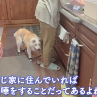 お母さんに寄り添うあいちゃん
