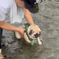 水が近くなると