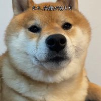 「え…今なんて…？」