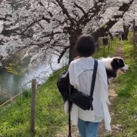 飼い主に抱っこされる中型犬