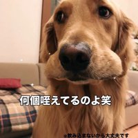 卓球をした時のビスコくん6