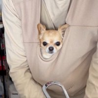 家事