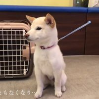 3回目はリラックスして待機