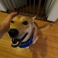意外と平気そう♪