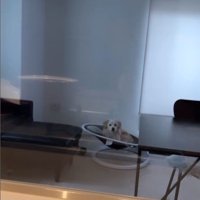 こたつ君と赤ちゃんの日常6